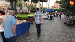 Reubicarán a artesanos tolerados de la Machado