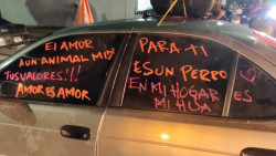 Convoca el activista Arturo Islas a marcha en Los Mochis por el caso de Rodolfo,  el perrito asesinado con un machete