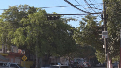 Semáforos "vuelven locos" a los automovilistas..