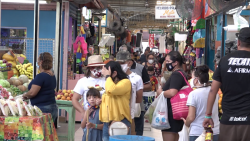 Ventas entre el 80 y 100 % en Mercado Pino Suárez