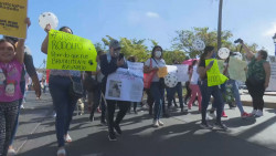 A la espera de que comisiones unidas revise observaciones de la ley de protección animal