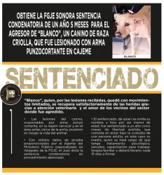 FGJE impone 1 año y 5 meses de sentencia a agresor de "Blanco"