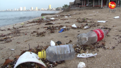 Exhortan a integrar agenda ambiental en campañas políticas