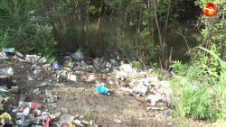 Contaminación e invasiones las fallas de Mazatlán a la naturaleza