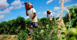 La actividad económica de México cae un 5.1 % interanual en febrero