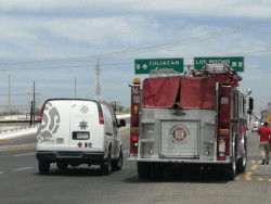 Muere menor tras ataque de abejas