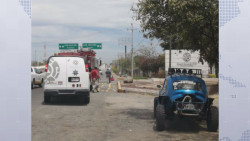 Fallece joven por picadura de abejas, cruz roja atendió a 3 personas mas