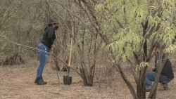 Estrenarán en marcha de desaparecidos camión donado por Alfonso Durazo a Madres Buscadoras de Sonora