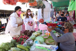 “Sinaloa tendrá una Gobernadora que sale de la gente, del pueblo”: Rosa Elena Millán