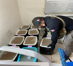 Ejecuta la FGR  orden de cateo en un inmueble ubicado en Culiacán