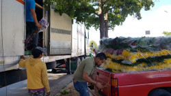 Se registra un importante repunte en el precio de las flores