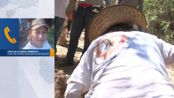 En Día de las Madres, colectivo de búsqueda marchará pacíficamente