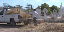 Listos los panteones para el 10 de mayo