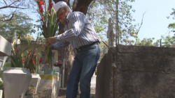 Recuerdan a su madre, la visitan en el panteón