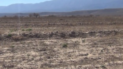 Pudiera ser la sequía mas severa en los últimos 60 años en Sinaloa