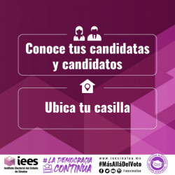 “Conoce a tus candidatas y candidatos; Ubica tu casilla” , plataforma del IEES