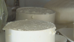 Quesos artesanales y con tradición en Carboneras