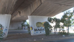 Revisan condiciones de los puentes de Culiacán