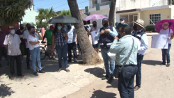 Piden muro y tirar el gran árbol en Jacarandas