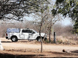 Encuentran craneo humano