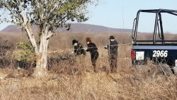 Localizan cuerpo en avanzado estado de descomposición