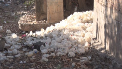 Arroyo que no lleva agua...lleva galones de plástico y llantas