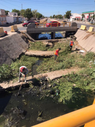 La dirección de obras públicas del Ayuntamiento de Culiacán mantiene la limpieza de arroyos