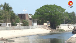 A favor de que se quede árbol en Jacarandas, Ecología Municipal
