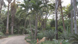 Habrá ruta nueva para recorrer el Jardín Botánico