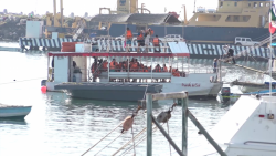 Alta demanda en paseos turísticos por la bahía