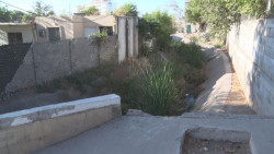 Maleza y basura no dejarán pasar el agua y podría haber inundaciones