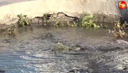 Gran fuga de agua potable en el Fraccionamiento Villa Galaxia