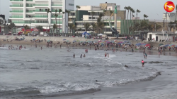 El 40% reservaciones hoteleras para verano