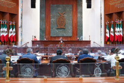 Exhorta Congreso a ayuntamientos a armonizar reglamentos en materia ambiental