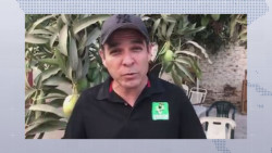 Miguel Calderón  llama a votar por Rubén Rocha