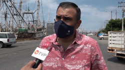 Esperan liberación del embargo camaronero