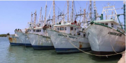 Realizarán en México la Reunión de la Alianza Latinoamericana para la Pesca Sustentable y la Seguridad Alimentaria