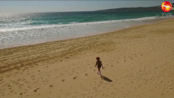 Llaman a proteger los mares y su riqueza marina