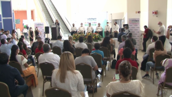 Desde España a Mazatlán :Infoagro 2021
