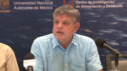 Que dejó la pandemia en nuestro Océano?