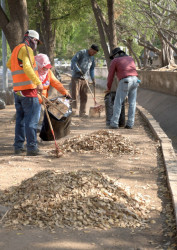 Hacen jornada de limpieza general en Culiacán