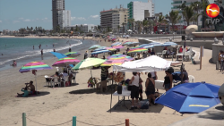A la espera de ajustes en el Operativo Redes de Mazatlán