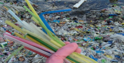 De 89 mil pesos como mínimo, las multas de la Ley Antiplásticos