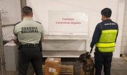 La Guardia Nacional y Aduanas interceptan fentanilo procedente de Hong Kong