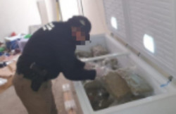 La FGR ejecutó en mayo 57 cateos en los que detuvo a 29 personas