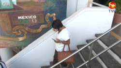 Se va Lourdes San Juan Gallardo de Ecología en Mazatlán