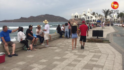 Mazatlán está controlado frente al Covid 19, asegura el Químico Benítez