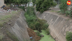 Vecinos de San Fernando y La Foresta, piden limpiar arroyo y canal de ese sector