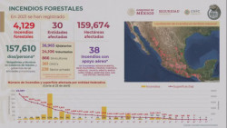 Hay 37 incendios forestales activos en México