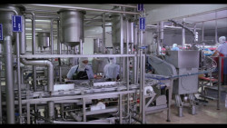 Sinaloa: Octavo lugar a nivel nacional en creación de empleos